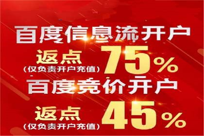 揭秘sem百度竞价背后的成功秘诀与案例